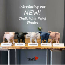 Load image into Gallery viewer, Frenchic Wall Paint