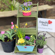 Load image into Gallery viewer, Frenchic Al Fresco
