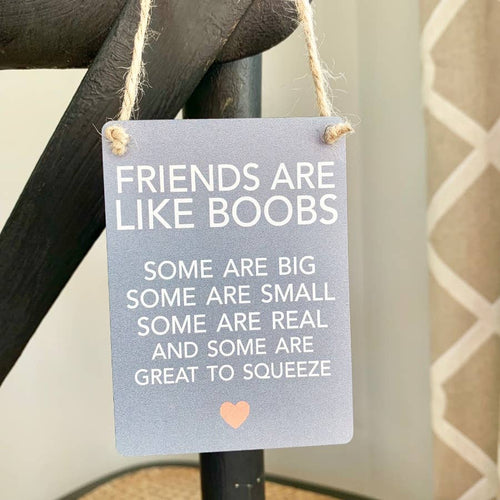 Friends Like Boobs Mini Metal Sign, 9cm