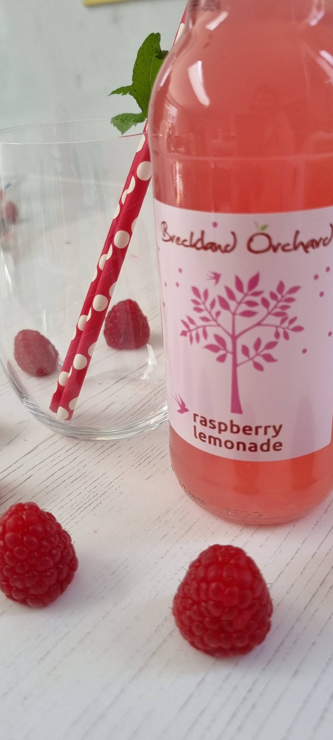 ZERO Sugar Raspberry Lemonade Posh Pop 275ml
