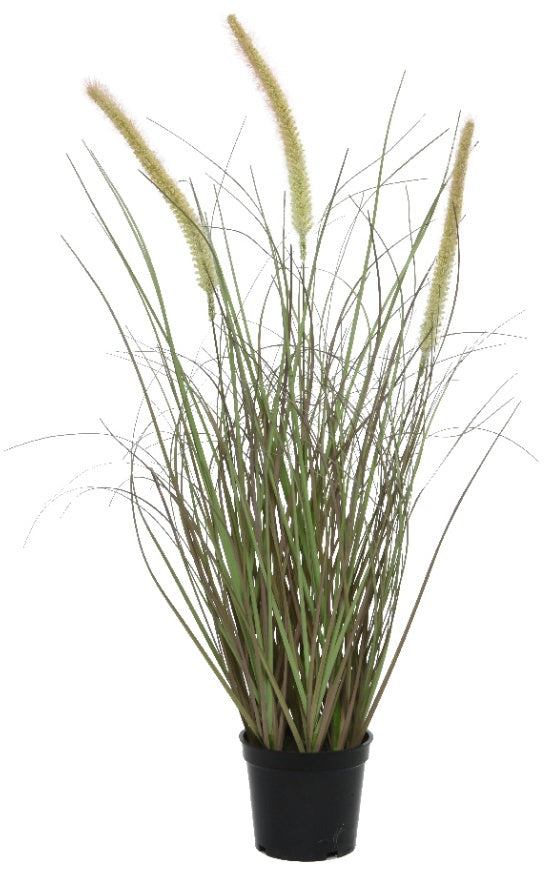Grass in Pot 60cm