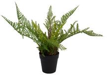 Load image into Gallery viewer, Fern in Pot, 45cm