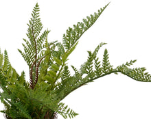 Load image into Gallery viewer, Fern in Pot, 45cm