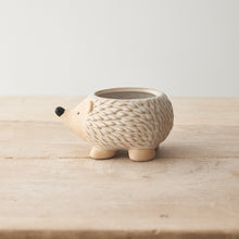 Load image into Gallery viewer, Natural Hedgehog Planter, 12cm