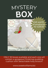 Load image into Gallery viewer, Mystery Box 2025 worth £45