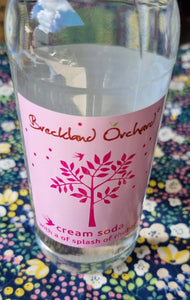 Cream Soda with Rhubarb Posh Pop