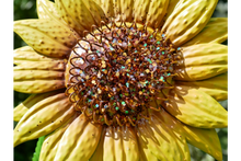 Load image into Gallery viewer, STORE PICKUP ONLY Sunflower Garden Stake