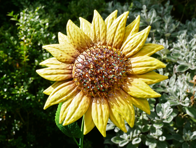 STORE PICKUP ONLY Sunflower Garden Stake