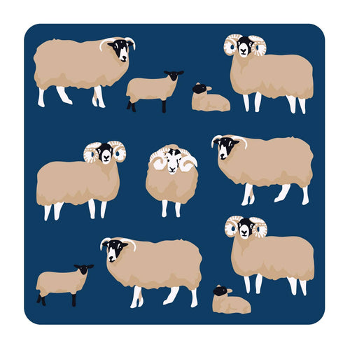 Sheep - Coaster